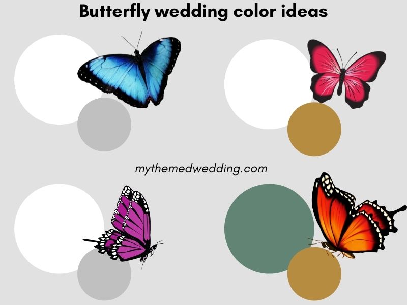 butterfly wedding color combinations