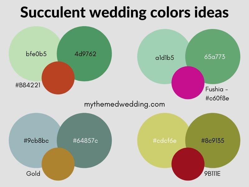 cactus succulent wedding theme colors ideas